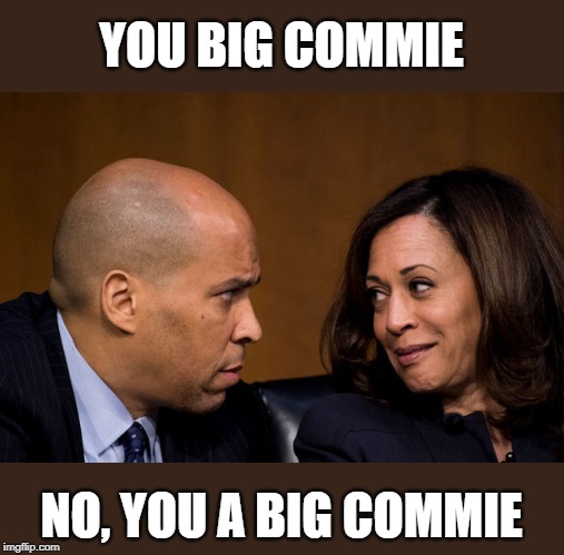 Democrats are commies | YOU BIG COMMIE; NO, YOU A BIG COMMIE | image tagged in corey booker and kamala harris,kamala,booker,kamala harris,cory booker,commies | made w/ Imgflip meme maker