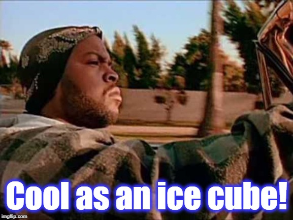 Today Was A Good Day Meme | Cool as an ice cube! | image tagged in memes,today was a good day | made w/ Imgflip meme maker