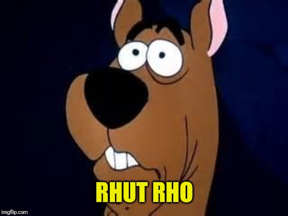 Scooby Doo Surprised | RHUT RHO | image tagged in scooby doo surprised | made w/ Imgflip meme maker