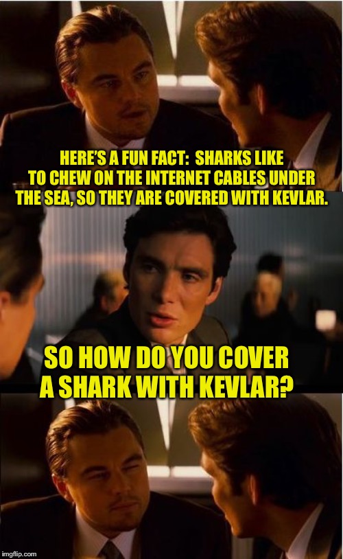 Inception Meme | HERE’S A FUN FACT:  SHARKS LIKE TO CHEW ON THE INTERNET CABLES UNDER THE SEA, SO THEY ARE COVERED WITH KEVLAR. SO HOW DO YOU COVER A SHARK WITH KEVLAR? | image tagged in memes,inception | made w/ Imgflip meme maker
