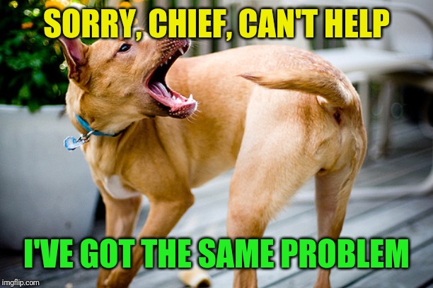 Dog chasing tail | SORRY, CHIEF, CAN'T HELP I'VE GOT THE SAME PROBLEM | image tagged in dog chasing tail | made w/ Imgflip meme maker