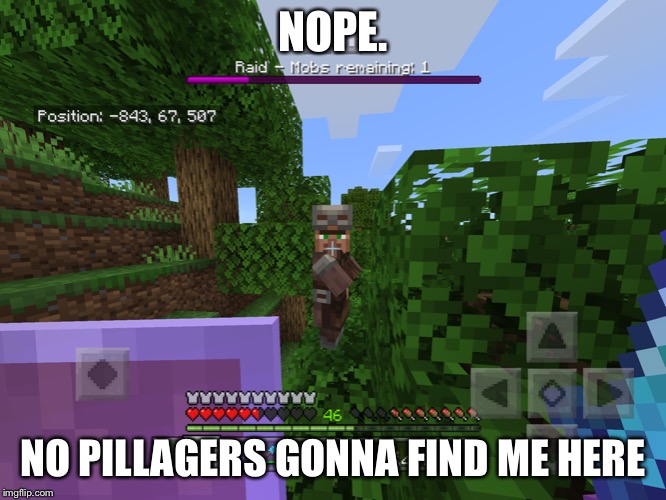 Villager hiding | NOPE. NO PILLAGERS GONNA FIND ME HERE | image tagged in villager hiding | made w/ Imgflip meme maker