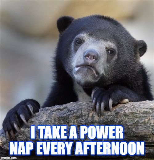Confession Bear Meme | I TAKE A POWER NAP EVERY AFTERNOON | image tagged in memes,confession bear | made w/ Imgflip meme maker