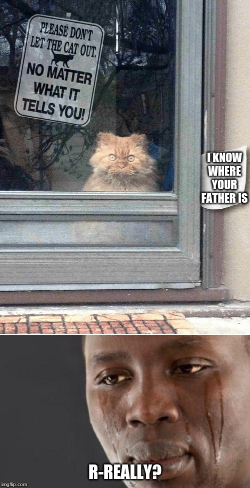 DONT DO IT TYRONE | I KNOW WHERE YOUR FATHER IS; R-REALLY? | image tagged in crying black man,dont let the cat out,where is my dad | made w/ Imgflip meme maker