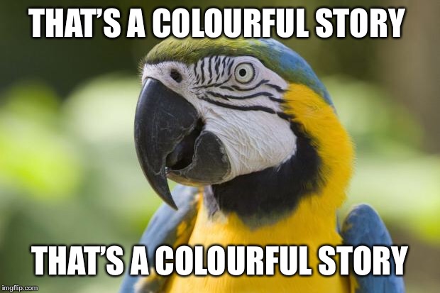 parrot | THAT’S A COLOURFUL STORY THAT’S A COLOURFUL STORY | image tagged in parrot | made w/ Imgflip meme maker