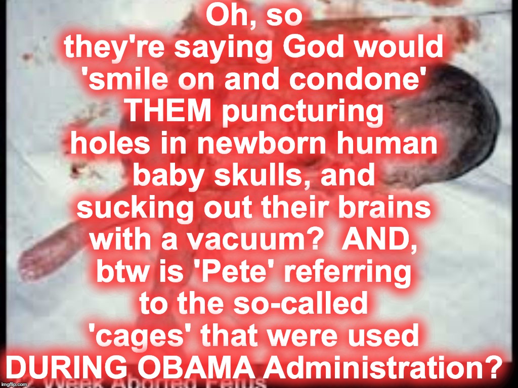 Oh, so they're saying God would 'smile on and condone' THEM puncturing holes in newborn human baby skulls, and sucking out their brains with a vacuum?  AND, btw is 'Pete' referring to the so-called 'cages' that were used DURING OBAMA Administration? | image tagged in morals | made w/ Imgflip meme maker