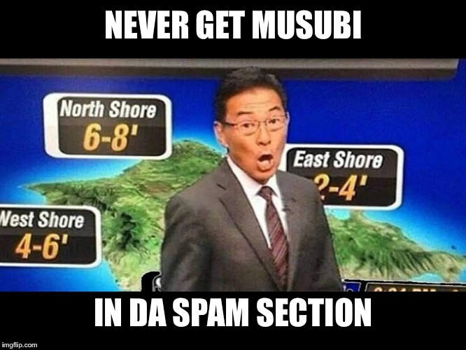 Guy Hagi Hawaii Weather | NEVER GET MUSUBI; IN DA SPAM SECTION | image tagged in guy hagi hawaii weather | made w/ Imgflip meme maker