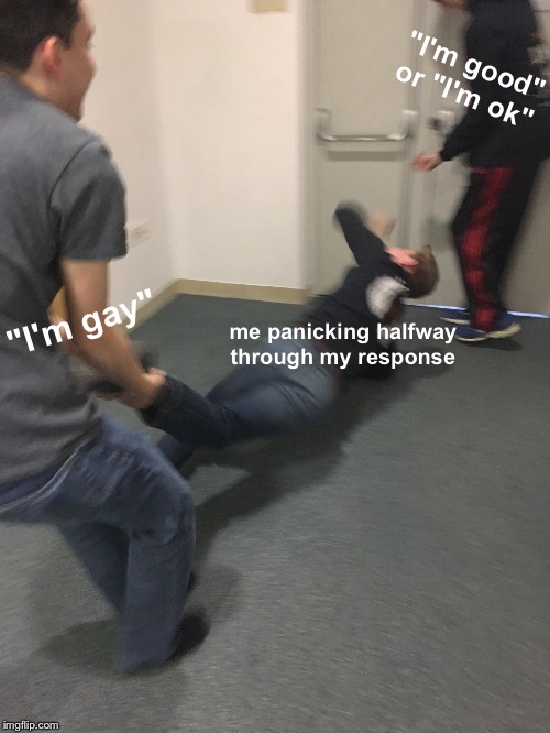 Duality of Man | "I'm good" or "I'm ok"; me panicking halfway through my response; "I'm gay" | image tagged in duality of man | made w/ Imgflip meme maker