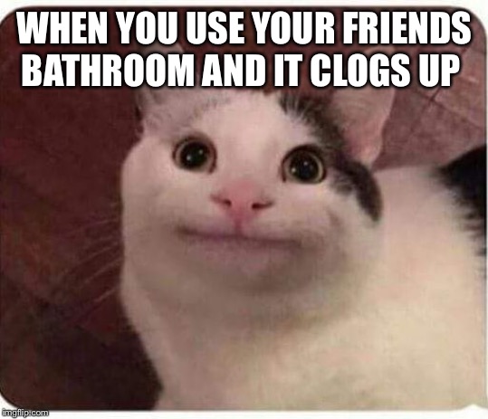 Polite Cat | WHEN YOU USE YOUR FRIENDS BATHROOM AND IT CLOGS UP | image tagged in polite cat | made w/ Imgflip meme maker