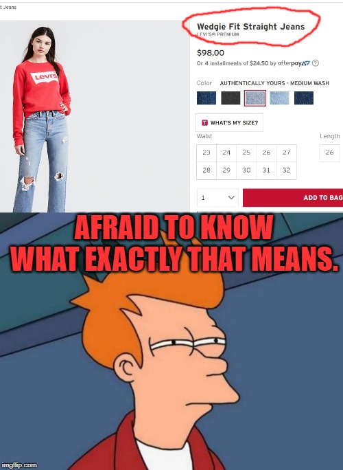 Wedgie Fit? Doesn't sound like something I want to pay $98 dollars for! | AFRAID TO KNOW WHAT EXACTLY THAT MEANS. | image tagged in memes,futurama fry,nixieknox | made w/ Imgflip meme maker