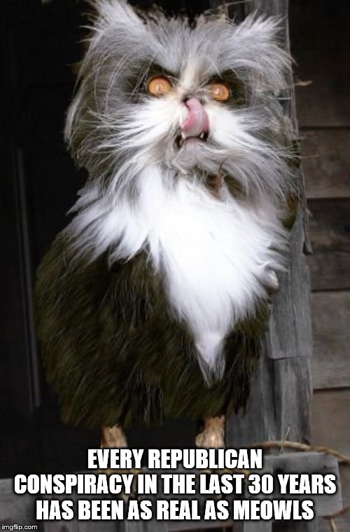 EVERY REPUBLICAN CONSPIRACY IN THE LAST 30 YEARS HAS BEEN AS REAL AS MEOWLS | made w/ Imgflip meme maker