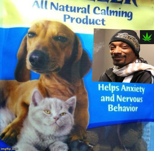 image tagged in snoop dogg,pets | made w/ Imgflip meme maker