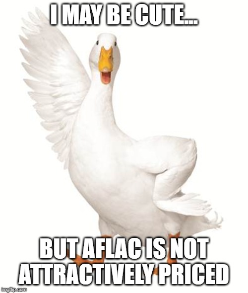 aflac duck | I MAY BE CUTE... BUT AFLAC IS NOT ATTRACTIVELY PRICED | image tagged in aflac duck | made w/ Imgflip meme maker