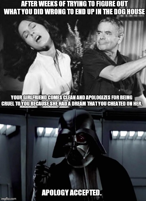 Your response when.... | AFTER WEEKS OF TRYING TO FIGURE OUT WHAT YOU DID WRONG TO END UP IN THE DOG HOUSE; YOUR GIRLFRIEND COMES CLEAN AND APOLOGIZES FOR BEING CRUEL TO YOU BECAUSE SHE HAD A DREAM THAT YOU CHEATED ON HER. APOLOGY ACCEPTED. | image tagged in darth vader,slap | made w/ Imgflip meme maker