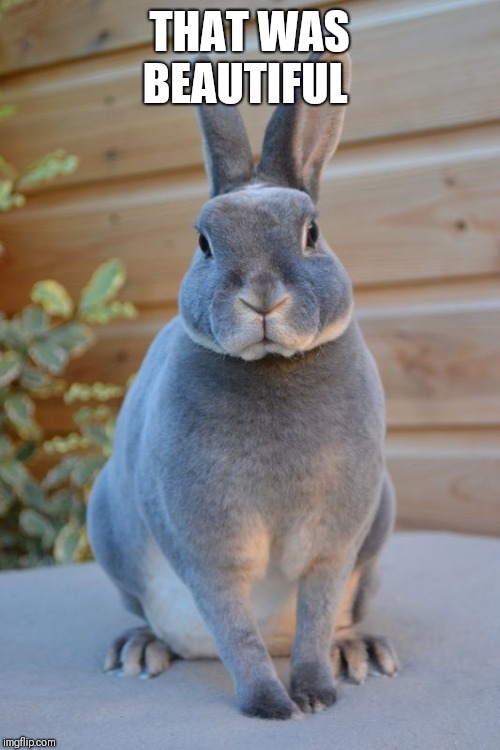 THAT WAS BEAUTIFUL | made w/ Imgflip meme maker