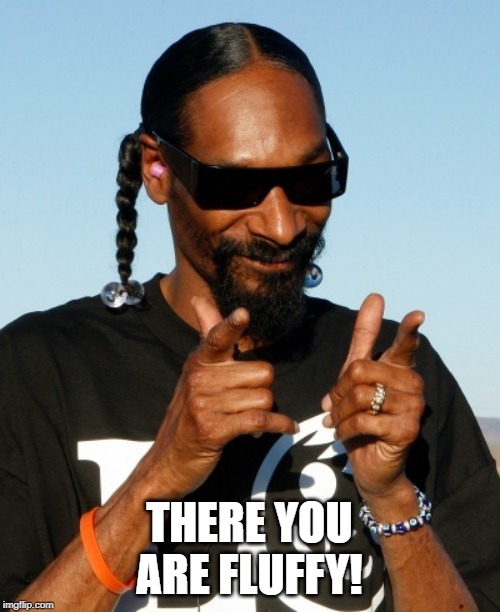 Snoop Dogg approves | THERE YOU ARE FLUFFY! | image tagged in snoop dogg approves | made w/ Imgflip meme maker