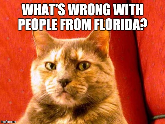 Suspicious Cat Meme | WHAT'S WRONG WITH PEOPLE FROM FLORIDA? | image tagged in memes,suspicious cat | made w/ Imgflip meme maker