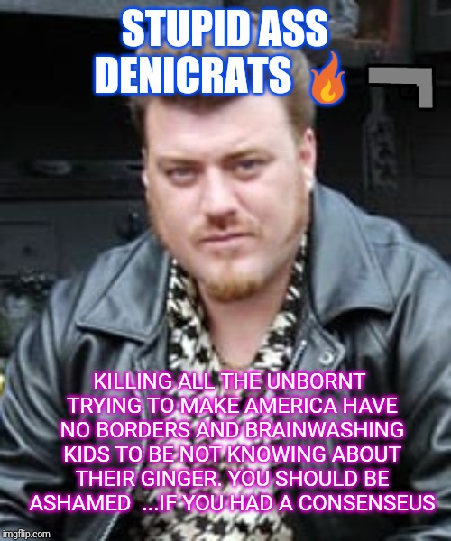 Ricky Trailer Park Boys | STUPID ASS DENICRATS 🔥; KILLING ALL THE UNBORNT 
TRYING TO MAKE AMERICA HAVE NO BORDERS AND BRAINWASHING KIDS TO BE NOT KNOWING ABOUT THEIR GINGER. YOU SHOULD BE ASHAMED  ...IF YOU HAD A CONSENSEUS | image tagged in ricky trailer park boys | made w/ Imgflip meme maker