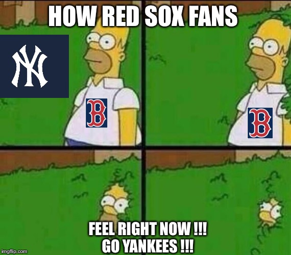 Homer Simpson in Bush - Large | HOW RED SOX FANS; FEEL RIGHT NOW !!!
GO YANKEES !!! | image tagged in homer simpson in bush - large | made w/ Imgflip meme maker