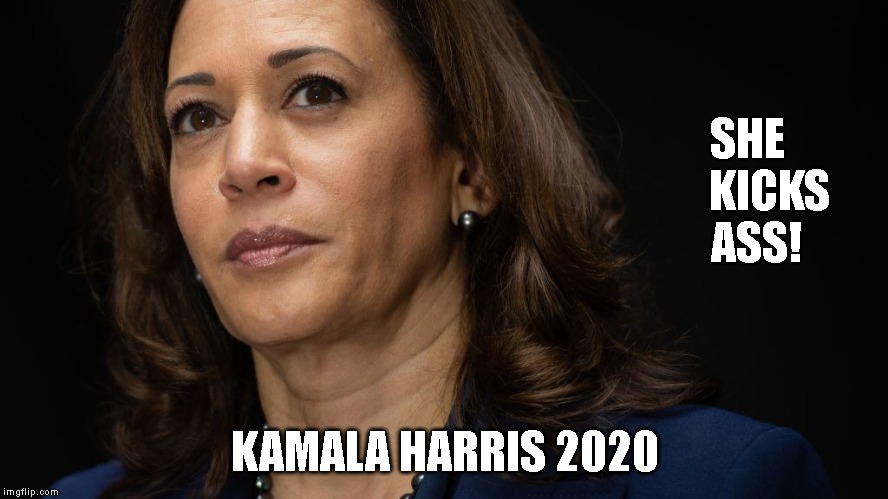 Harris Can Prosecute Trump's Crimes | SHE      KICKS
 ASS! KAMALA HARRIS 2020 | image tagged in kamala harris,harris 2020 | made w/ Imgflip meme maker