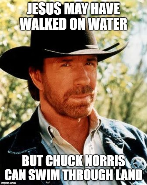 Impressive.... | JESUS MAY HAVE WALKED ON WATER; BUT CHUCK NORRIS CAN SWIM THROUGH LAND | image tagged in memes,chuck norris | made w/ Imgflip meme maker