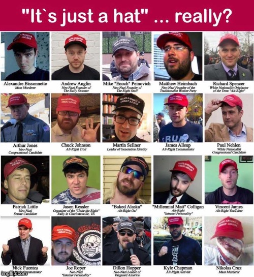 ItS jUSt a HaT | image tagged in trump,trump hat,make america great again | made w/ Imgflip meme maker