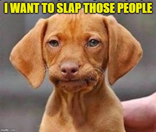 Frustrated dog | I WANT TO SLAP THOSE PEOPLE | image tagged in frustrated dog | made w/ Imgflip meme maker