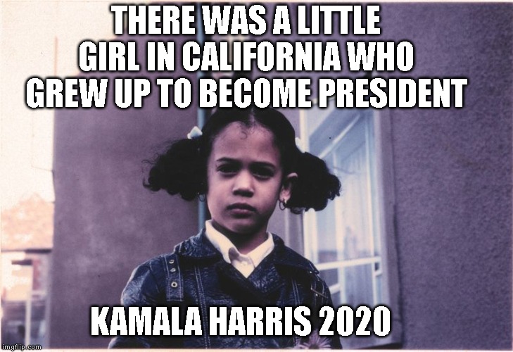 Get On The Harris Bus! | THERE WAS A LITTLE GIRL IN CALIFORNIA WHO GREW UP TO BECOME PRESIDENT; KAMALA HARRIS 2020 | image tagged in kamala harris | made w/ Imgflip meme maker