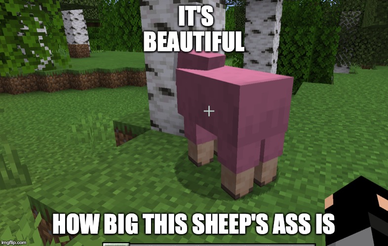 IT'S BEAUTIFUL; HOW BIG THIS SHEEP'S ASS IS | image tagged in minecraft,pink sheep,thicc boi | made w/ Imgflip meme maker