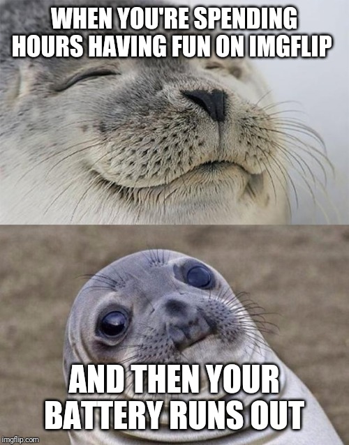 Short Satisfaction VS Truth Meme | WHEN YOU'RE SPENDING HOURS HAVING FUN ON IMGFLIP; AND THEN YOUR BATTERY RUNS OUT | image tagged in memes,short satisfaction vs truth | made w/ Imgflip meme maker