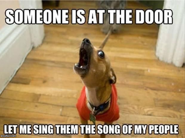The Cry of the Canine | image tagged in dog,singing,so true,memes | made w/ Imgflip meme maker