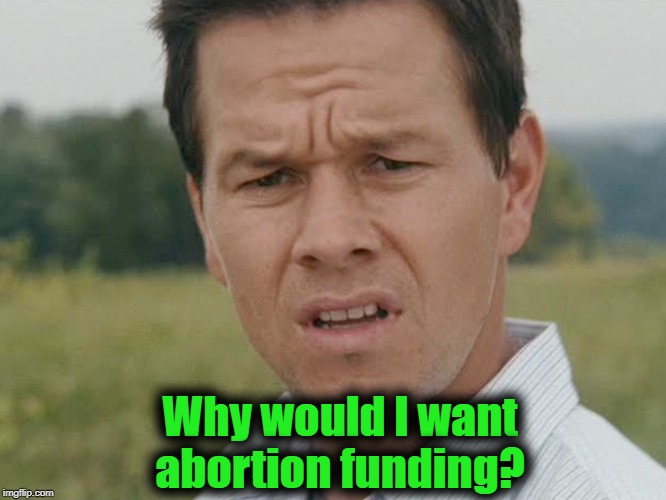 Huh  | Why would I want abortion funding? | image tagged in huh | made w/ Imgflip meme maker