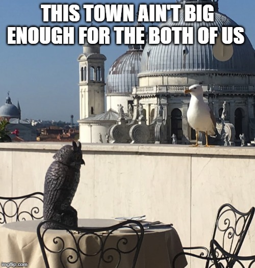 This town.. | THIS TOWN AIN'T BIG ENOUGH FOR THE BOTH OF US | image tagged in funny | made w/ Imgflip meme maker