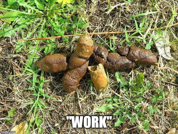 dog turd | "WORK" | image tagged in dog turd | made w/ Imgflip meme maker