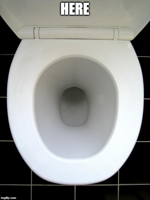 TOILET | HERE | image tagged in toilet | made w/ Imgflip meme maker