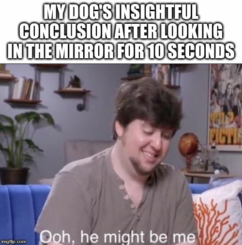 ooh he might be me | MY DOG'S INSIGHTFUL CONCLUSION AFTER LOOKING IN THE MIRROR FOR 10 SECONDS | image tagged in ooh he might be me | made w/ Imgflip meme maker