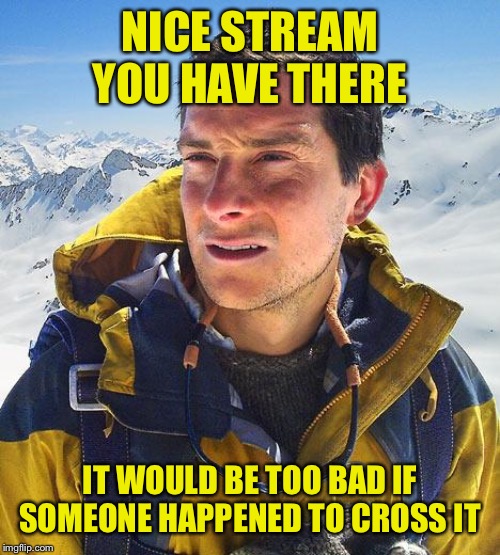 Bear Grylls | NICE STREAM YOU HAVE THERE; IT WOULD BE TOO BAD IF SOMEONE HAPPENED TO CROSS IT | image tagged in memes,bear grylls | made w/ Imgflip meme maker