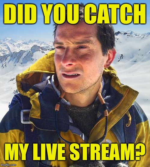 Bear Grylls |  DID YOU CATCH; MY LIVE STREAM? | image tagged in memes,bear grylls | made w/ Imgflip meme maker