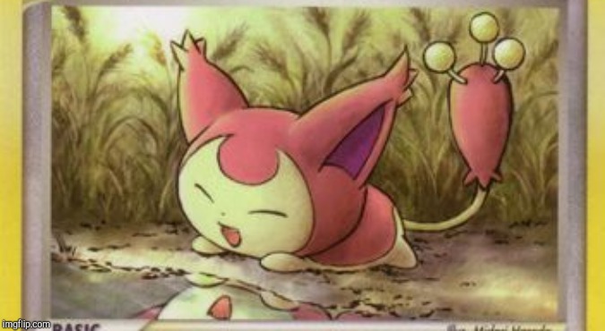 Skitty | image tagged in skitty,cats | made w/ Imgflip meme maker