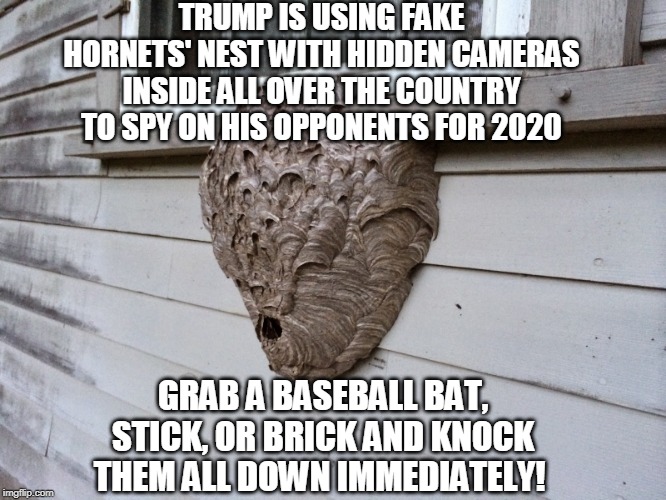 Fight back against collusion, spying, and interference in this election. | TRUMP IS USING FAKE HORNETS' NEST WITH HIDDEN CAMERAS INSIDE ALL OVER THE COUNTRY TO SPY ON HIS OPPONENTS FOR 2020; GRAB A BASEBALL BAT, STICK, OR BRICK AND KNOCK THEM ALL DOWN IMMEDIATELY! | image tagged in hornets nest,hornet,spying,election 2020,cameras,trump russia collusion | made w/ Imgflip meme maker
