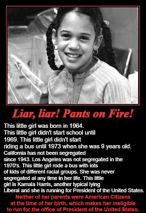 Liar, liar! Pants on Fire! | Neither of her parents were American Citizens at the time of her birth, which makes her ineligible to run for the office of President of the United States. | image tagged in kamala harris,liar,political corruption,eligibility,liberal logic,crazy liberals | made w/ Imgflip meme maker