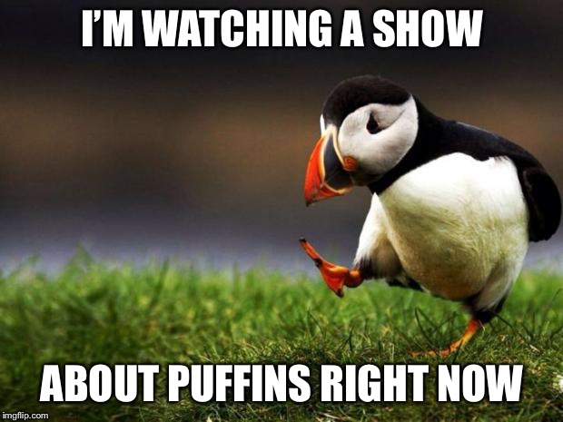 Unpopular Opinion Puffin Meme | I’M WATCHING A SHOW; ABOUT PUFFINS RIGHT NOW | image tagged in memes,unpopular opinion puffin | made w/ Imgflip meme maker