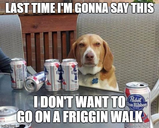 dog beer | LAST TIME I'M GONNA SAY THIS; I DON'T WANT TO GO ON A FRIGGIN WALK | image tagged in dog beer,random,walk,drinking | made w/ Imgflip meme maker