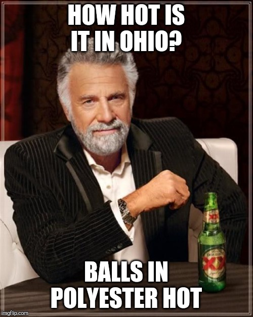 The Most Interesting Man In The World Meme | HOW HOT IS IT IN OHIO? BALLS IN POLYESTER HOT | image tagged in memes,the most interesting man in the world | made w/ Imgflip meme maker