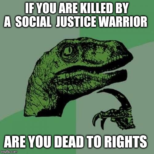 Philosoraptor | IF YOU ARE KILLED BY A  SOCIAL  JUSTICE WARRIOR; ARE YOU DEAD TO RIGHTS | image tagged in memes,philosoraptor | made w/ Imgflip meme maker