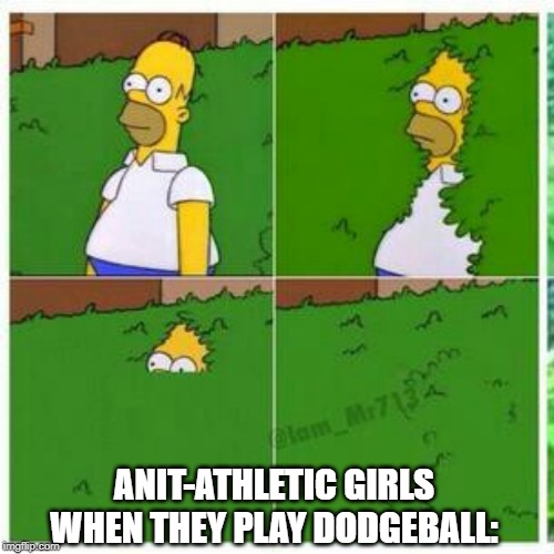 The Anti-Athletic Girls | ANIT-ATHLETIC GIRLS WHEN THEY PLAY DODGEBALL: | image tagged in homer hides | made w/ Imgflip meme maker