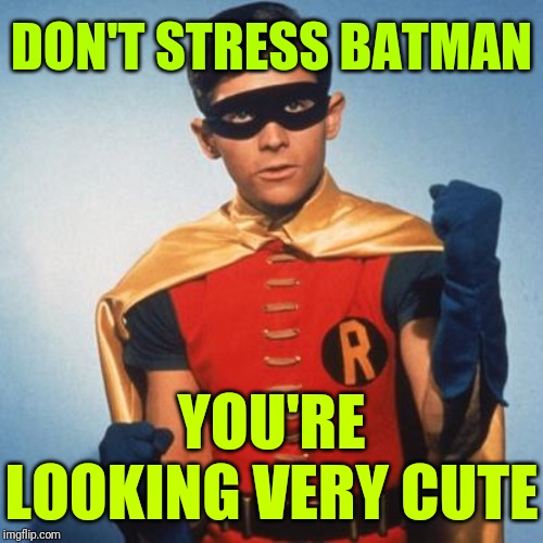 Robin | DON'T STRESS BATMAN YOU'RE LOOKING VERY CUTE | image tagged in robin | made w/ Imgflip meme maker