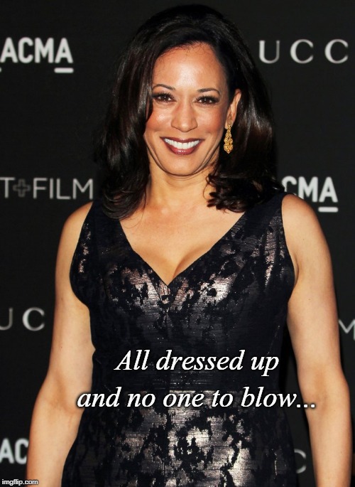 All dressed up... | All dressed up and no one to blow... | image tagged in dressed up,no one,blow,kamala harris | made w/ Imgflip meme maker