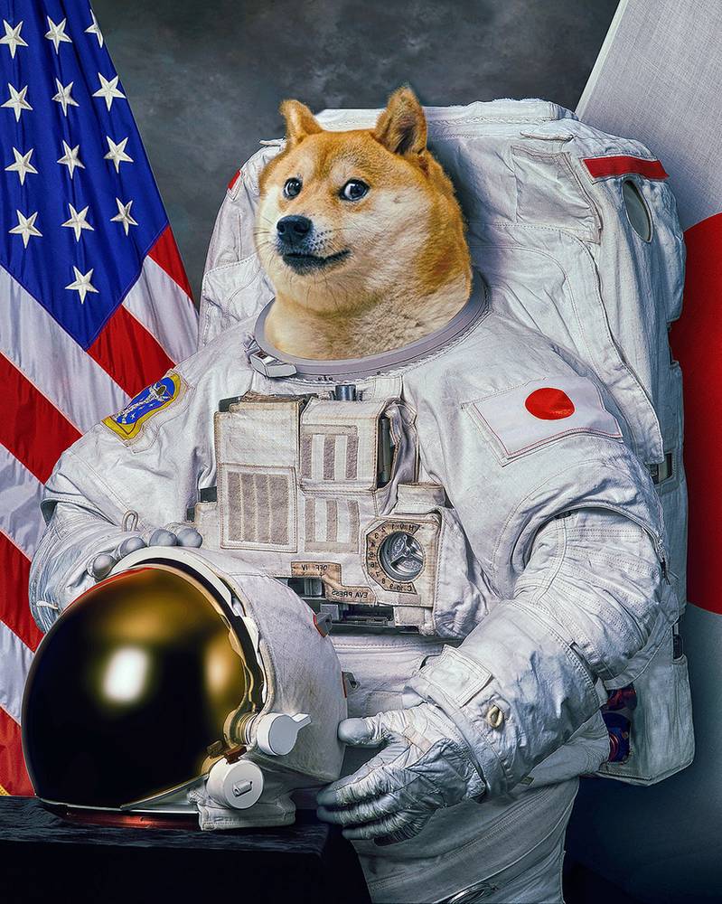 High Quality Doge Space Suit Blank Meme Template