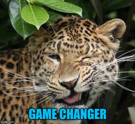 Big Cat Wink | GAME CHANGER | image tagged in big cat wink | made w/ Imgflip meme maker